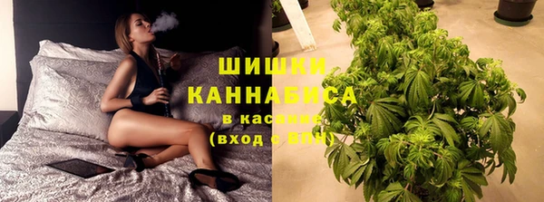 ГАЛЛЮЦИНОГЕННЫЕ ГРИБЫ Иннополис