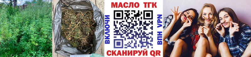 Купить закладки  Санкт-Петербург  Дистиллят ТГК Wax 