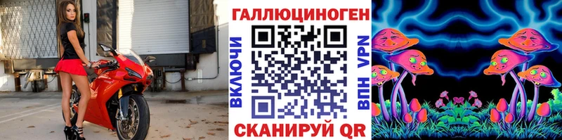 Псилоцибиновые грибы GOLDEN TEACHER  Купить где  Санкт-Петербург 